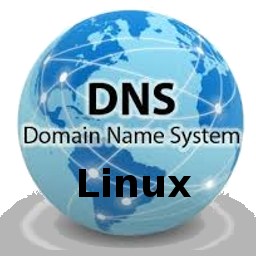 dns_logo